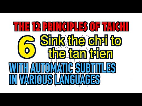 taichi chuan -  【THE 12 PRINCIPLES of Taichi】 6. Sink the ch'i to the tan tien - With automatic su--