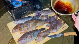 ルール:釣れた魚は全て煮付けにする