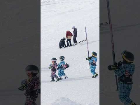 滑雪場里的小可愛/The cutey in the ski resort##滑雪场#儿童#可爱#Ski Resort #Children #Cute