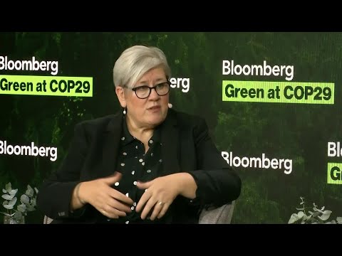 COP29: UK's Kyte on Climate Finance Negotiations