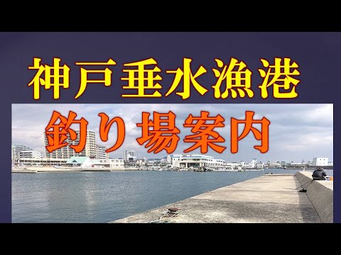 釣り場案内　神戸市垂水区、垂水漁港釣り場 釣りポイント  釣り禁止区域もあり！