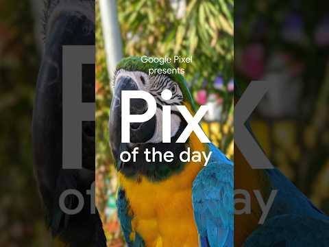 Birds of a feather 🎵 Which one is your fav? 👇 #PixOfTheDay