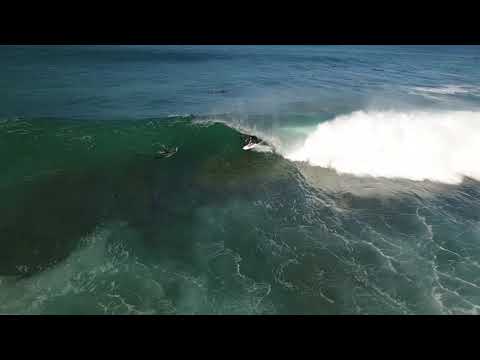 Mick Fanning - Signature Traction(Performance) | CREATURES OF LEISURE