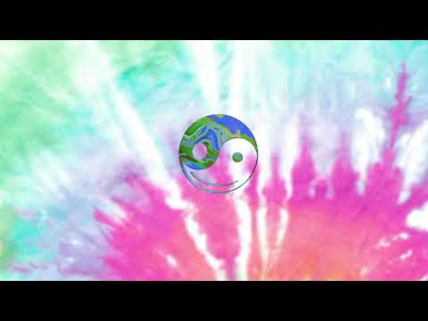 Brain Fuzz - GRiZ (Official Audio)