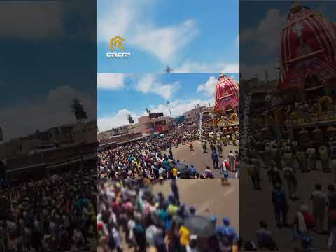 Rathayatra 2024: Witness Odisha's Epic Chariot Festival #odishaturism #cropadventure