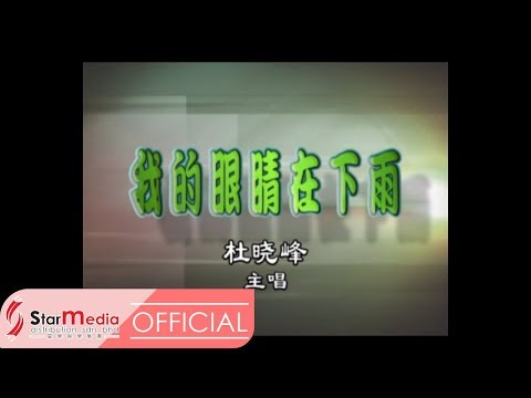 杜晓峰 - 我的眼睛在下雨 (Official Video)