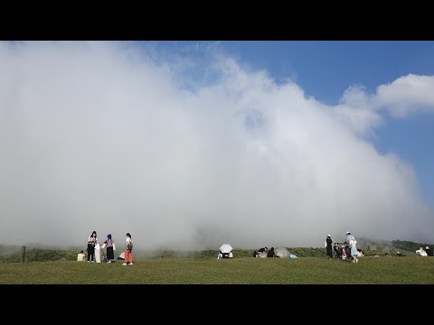 【 台北 】陽明山擎天崗美景  3      #1018