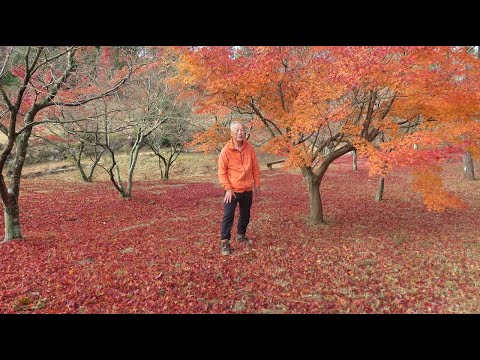 龍王山&高松稲荷