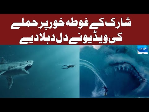 Shocking Footage of Shark Attack on Diver | Ibrat News