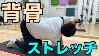 【背骨ストレッチ５分】ガチガチになった背骨を三つの動きでほぐす！