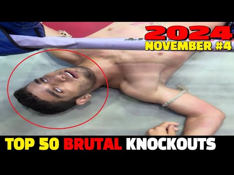 Top 50 Brutal Knockouts November 2024 #4 (MMA•Muay Thai•Kickboxing•Kun Khmer)