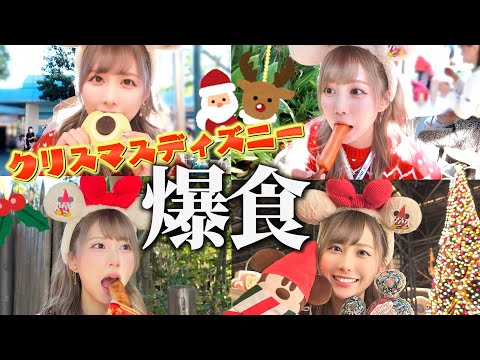 ディズニーでクリスマスを食べ尽くす！！【クリスマスディズニー】【リルリンリン】