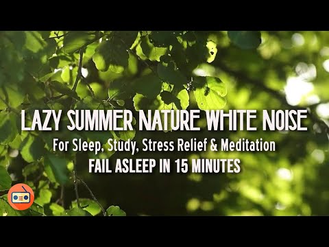 Lazy Summer Nature White Noise For Sleeping, Stress Relief, Meditation  | 夏日蟬鳴白噪音放鬆心情緩解壓力深度睡眠