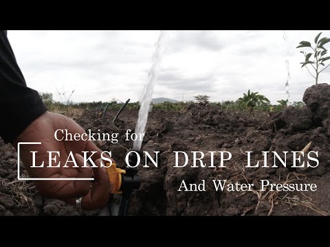 Uncovering Leaks and Perfecting Water Pressure for Your Farm #dripirrigation