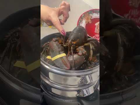 Steaming alive lobster #seafoods #lobster #viral #trend #shorts