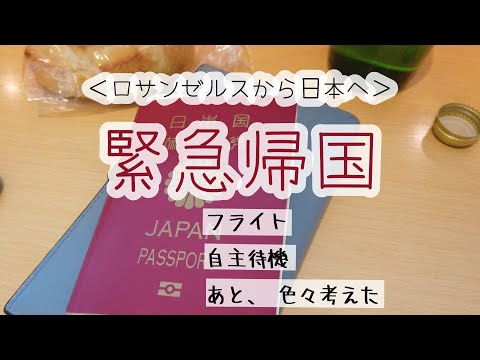 日本へ緊急一時帰国【移住して３０年　アメリカで働く５０代】