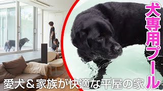 【注文住宅】中庭に犬専用プール！愛犬と家族が快適な平屋の家