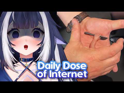 Shylily Reacts to 23min of Daily Dose of Internet