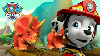 火山爆发啦!🌋 汪汪隊拯救恐龍樂園！🦖還有更多精彩故事！ - PAW Patrol 汪汪隊立大功 - 兒童卡通