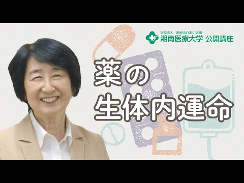 【薬学部 医療薬学科】薬の生体内運命：佐野 和美 教授