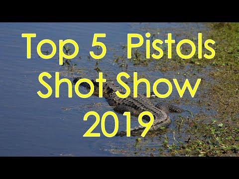 Top 5 Pistols from Shot Show 2019