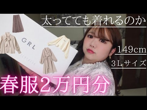 【GRL】春服！太くても着れるのか！第2弾！2万円分ぽっちゃり女子の購入品紹介/着用動画あり/グレイル/大きいサイズ