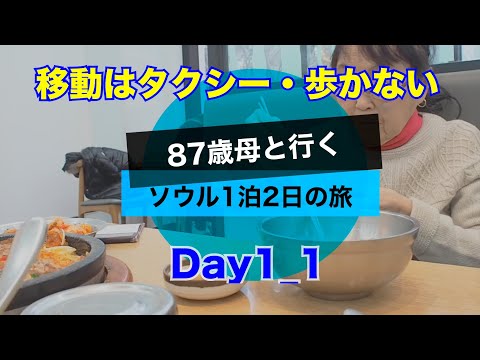 【旅】87歳母と行くソウル1泊2日の旅 Day1_1 羽田空港〜金浦国際空港、ホテル ル・メリディアン明洞、神仙ソルロンタン、NANTA、ワッペンハウスほか