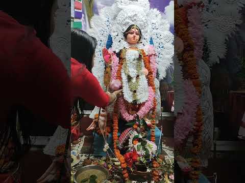 আমি যা চেয়ে ফুল টা চেয়েছিলাম সেটা মা পূরণ করেছে 🥰🥰#joy #loxmi#ma #comment #share #subscribe #like