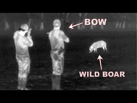 BOWHUNTING HOGS At NIGHT!! (Spot N' Stalk)