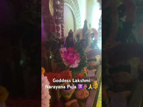 Goddess Lakshmi Narayana Abhishekam Puja #lakshminarayan #god #lakshmipuja