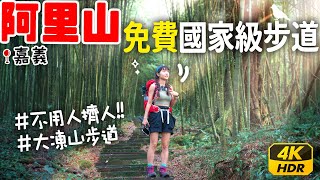 阿里山你不知道的仙氣步道⛰️免門票不用人擠人！隱藏的超原始山林生態美景🥹💕｜4K HDR | 大凍山