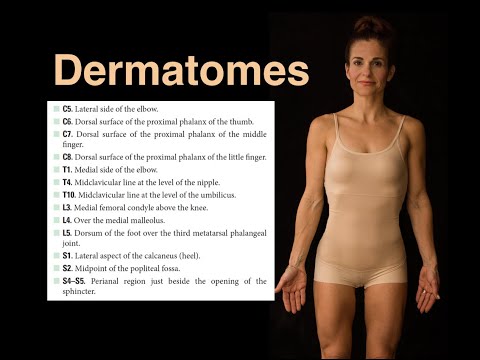 Dermatomes