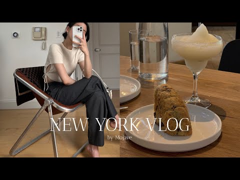 New York vlog🗽Eat, Drink and Love in NY | Summer Night Picnic | Making Paella | July 4th [Eng sub]