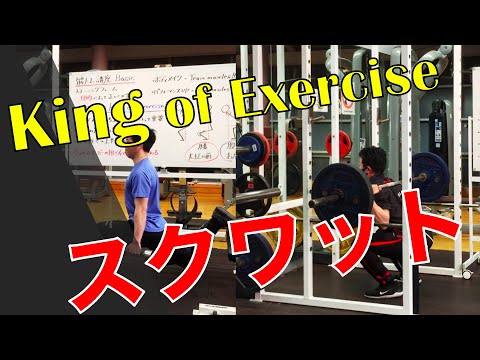 【脚トレーニング（実践）】効果的なスクワット&ブルガリアンSQの実践！！