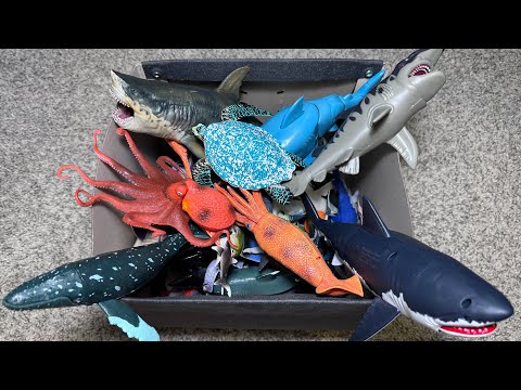 Sea Animals Box - Shark, Dolphin, Whaleshark, Octopus, Squid, Goblin Shark, Great White Shark