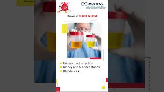 Concerned about blood in your urine? Contact Muthya Kidney Center for personalized care!