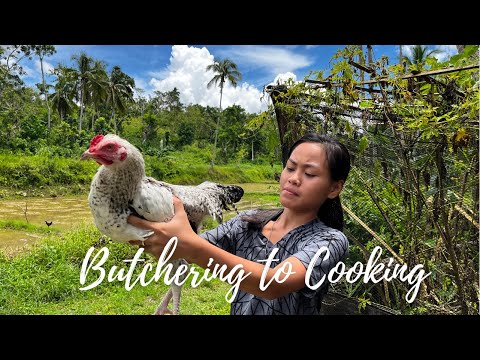 Adobong Plymouth Rock Chicken for Lunch | Countrysidelife Bohol , Philippines