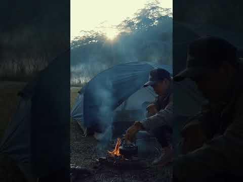 Campinglife, morning in forest #asmr #solocamping #forest