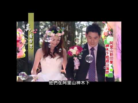 真心看臺灣 2013阿里山神木下婚禮