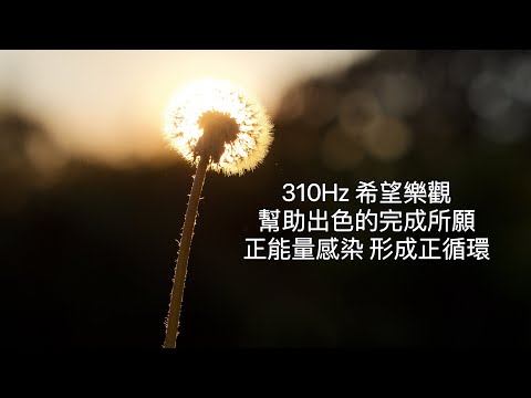 310Hz :希望樂觀的人通常會出色的完成任務，並極力獲得成功。經常保持樂觀祥和、喜悅、感恩的心情，避免負面情緒，久而久之，身體就越來越健康，同時也可以影響身邊的人，而形成一個良性的循環。