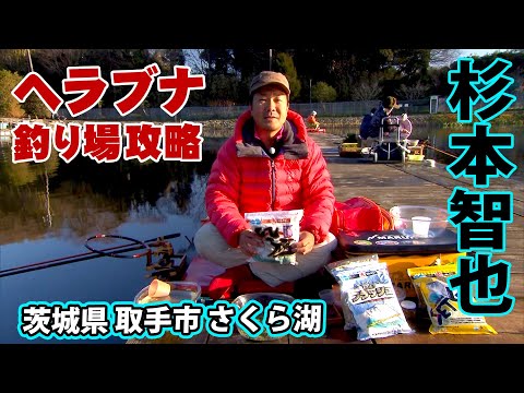 トーナメンター杉本智也が冬の管理釣り場を攻略 2/2 『ヘラブナギャラリー 杉本智也×冬のさくら湖 段底とバラグルセットで愉しむ1日』イントロver.【釣りビジョン】その②