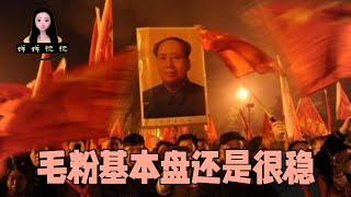 中国毛粉的基本盘还是很稳的，毛泽东131年纪念日闹剧