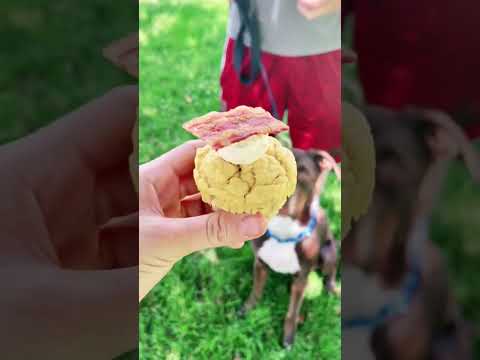 Pitbull Gets His First PUPCAKE