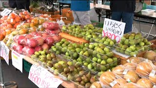 サトイモやナシなど秋の味覚を販売「仙台牛」も格安で　産業まつりにぎわう　宮城・蔵王町