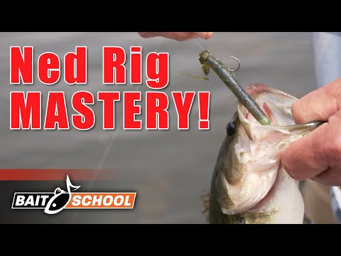 The Only Video You Need to Watch on Ned Rigging for Bass (Frank Scalish Deep Dive)