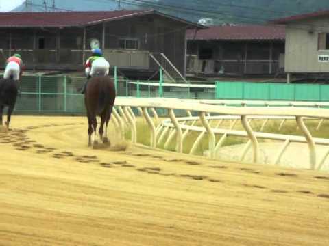 福山けいば ジョッキー's FACE ～山田 祥雄騎手～