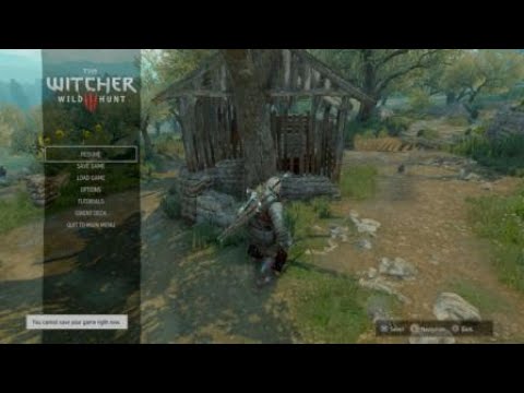 The Witcher 3 - Bruxa Heart Attack Jump Scare