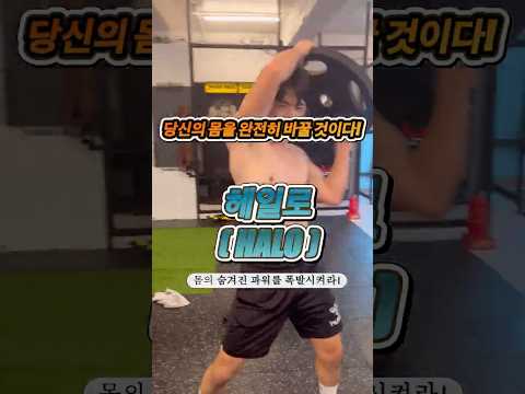 프로들이 인정한 최고의 코어강화 비법! 헤일로(HALO)                                                   #코어운동  #헬스 #어깨운동