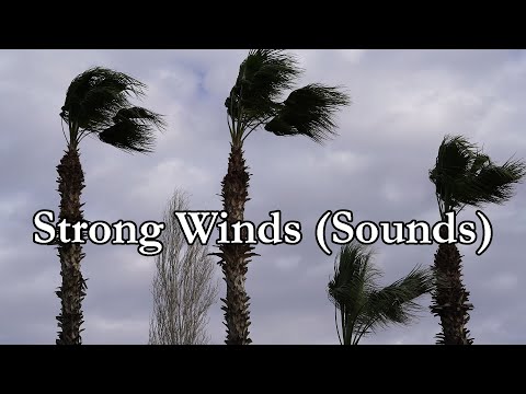 NATURE'S WAY - by TKING N MINISTRIES - Strong Winds (TKING)