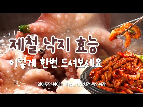 가을 제철 낙지 놀라운 효능 간단한 요리 레시피 알려드릴게요